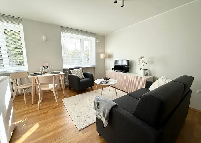 Lovely Beachfront In Parnu